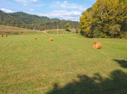 215 Eb Hollow Road Eidson Tn 37731, Eidson, TN 37731 photo 58