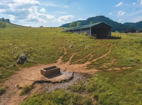 215 Eb Hollow Road Eidson Tn 37731, Eidson, TN 37731 photo 37