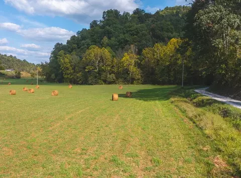 215 Eb Hollow Road Eidson Tn 37731, Eidson, TN 37731 photo 50