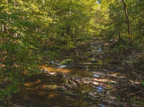 215 Eb Hollow Road Eidson Tn 37731, Eidson, TN 37731 photo 56