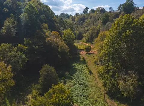 215 Eb Hollow Road Eidson Tn 37731, Eidson, TN 37731 photo 47
