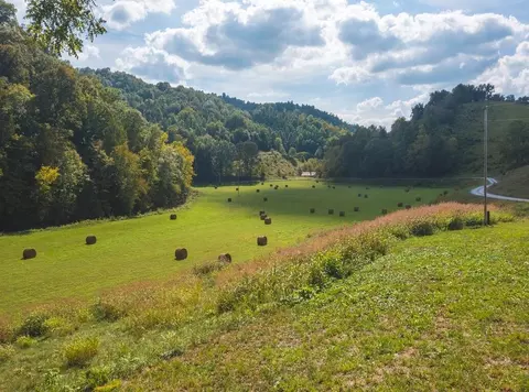 215 Eb Hollow Road Eidson Tn 37731, Eidson, TN 37731 photo 31