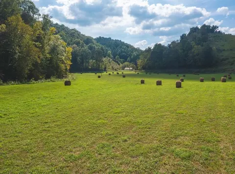 215 Eb Hollow Road Eidson Tn 37731, Eidson, TN 37731 photo 33