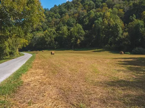 215 Eb Hollow Road Eidson Tn 37731, Eidson, TN 37731 photo 8