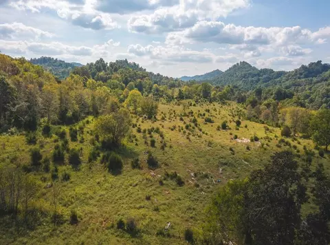 215 Eb Hollow Road Eidson Tn 37731, Eidson, TN 37731 photo 23