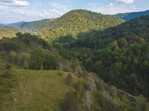215 Eb Hollow Road Eidson Tn 37731, Eidson, TN 37731 photo 27