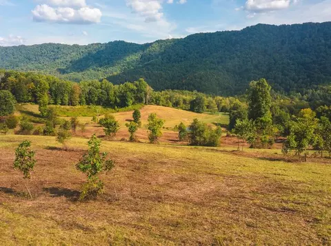 200 Acres War Creek Road Eidson Tn 37731, Eidson, TN 37731