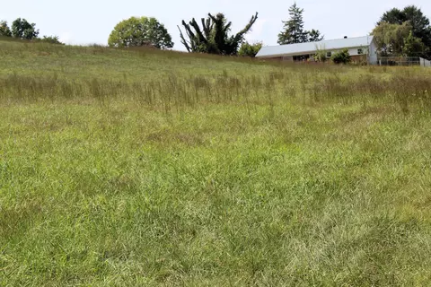 tbd Martin Street Jonesville Va 24263, Jonesville, VA 24263