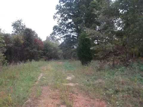 1451 Highway 11w Church Hill Tn 37642, Church Hill, TN 37642