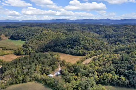 1155 Fowlers Grove Road Newport Tn 37821, Newport, TN 37821