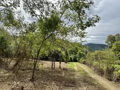tbd Greasy Cove Road Cosby Tn 37722, Cosby, TN 37722