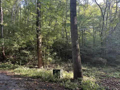 tbd Holt Town Rd Off Newport Tn 37821, Newport, TN 37821