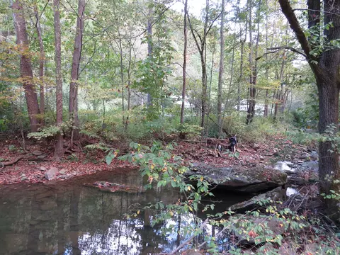 7419 Aily Road Dante Va 24237, Dante, VA 24237 photo 37
