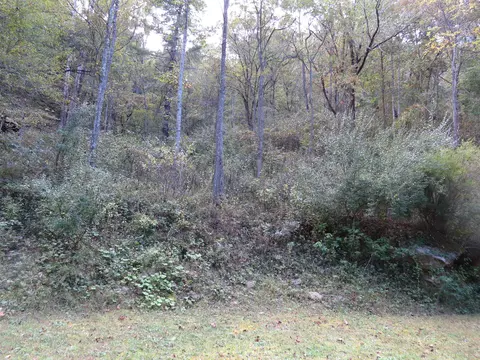 7419 Aily Road Dante Va 24237, Dante, VA 24237 photo 38