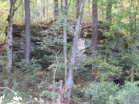 7419 Aily Road Dante Va 24237, Dante, VA 24237 photo 5