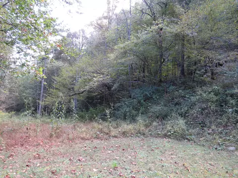 7419 Aily Road Dante Va 24237, Dante, VA 24237 photo 39