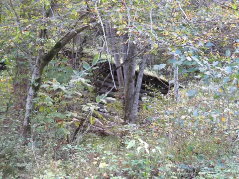 7419 Aily Road Dante Va 24237, Dante, VA 24237 photo 40