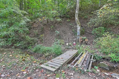 397 Browns Branch Road Hampton Tn 37658, Hampton, TN 37658 photo 5