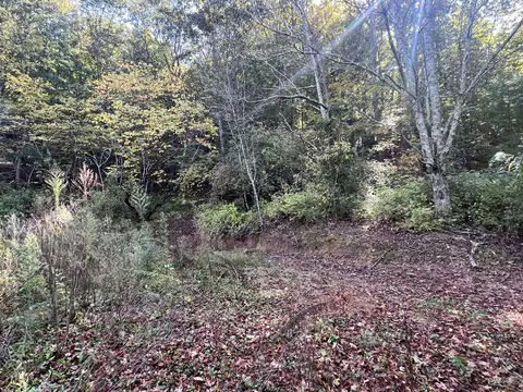 1521 Mount Holston Road Bluff City Tn 37618, Bluff City, TN 37618