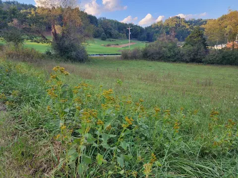 tbd Sugar Grove Church Road Butler Tn 37640, Butler, TN 37640