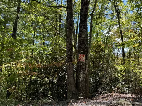 lot37 Joy Way Hartford Tn 37753, Hartford, TN 37753