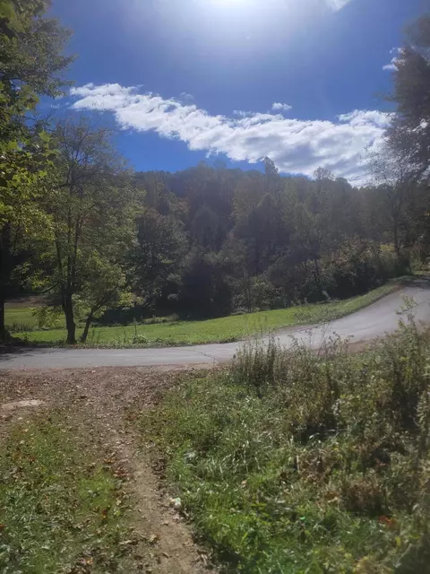 343 Bear Branch Road Roan Mountain Tn 37687, Roan Mountain, TN 37687