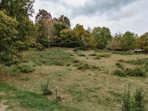 00 Dogwood Drive Fall Branch Tn 37656, Fall Branch, TN 37656