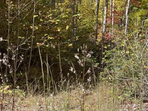 tbd Arnold Town Road Mountain City Tn 37683, Mountain City, TN 37683