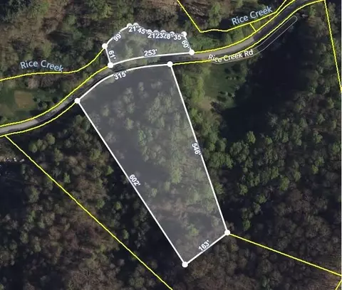 tbd Rice Creek Road Flag Pond Tn 37657, Flag Pond, TN 37657