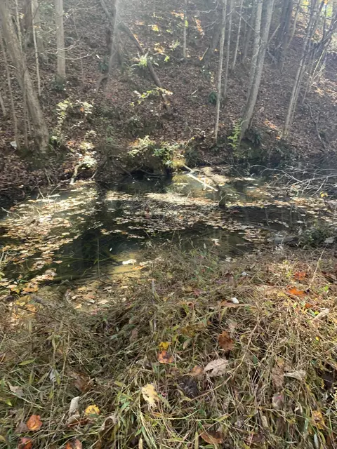 tbd Garland Branch Road Watauga Tn 37694, Watauga, TN 37694