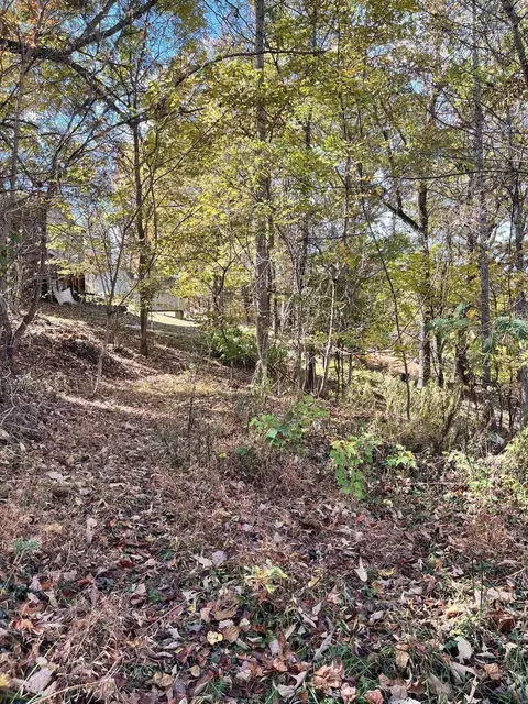 tbd Highland Circle Bluff City Tn 37618, Bluff City, TN 37618