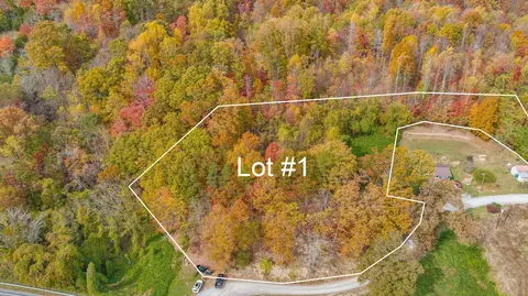 tbd Majestic Lot 1 Drive Duffield Va 24244, Duffield, VA 24244