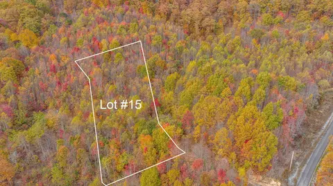 tbd Paradise Lot 15 Drive Duffield Va 24244, Duffield, VA 24244
