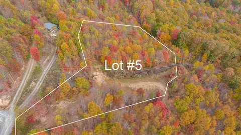 tbd Purple Glory Lot 5 Duffield Va 24244, Duffield, VA 24244