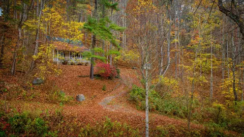 120 Crain Road Flag Pond Tn 37657, Flag Pond, TN 37657 photo 3