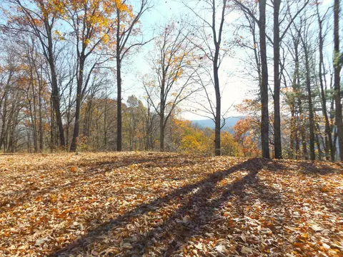 lot11 B Tulip Poplar Trail Butler Tn 37640, Butler, TN 37640