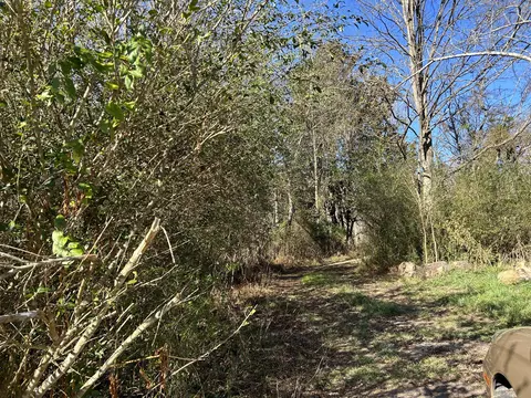 00 Island Road Kingsport Tn 37664, Kingsport, TN 37664