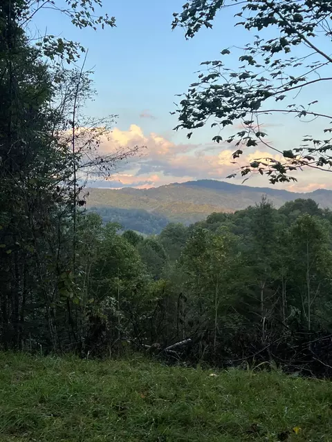 lot6 Laurel Highlands Road Roan Mountain Tn 37687, Roan Mountain, TN 37687