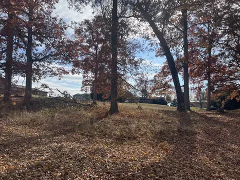 120 Townsend Road Fall Branch Tn 37656, Fall Branch, TN 37656 photo 8