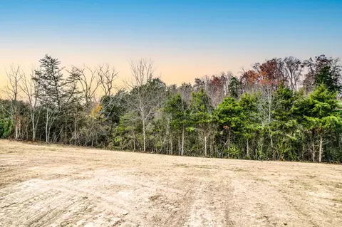 8630 Mcdonald Road Mohawk Tn 37810, Mohawk, TN 37810 photo 30