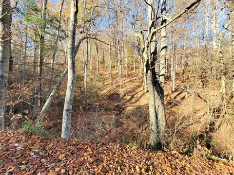 00 Ingram Branch Road Roan Mountain Tn 37687, Roan Mountain, TN 37687