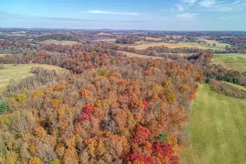 43 59 Acre Jones Bridge Road Greeneville Tn 37743, Greeneville, TN 37743