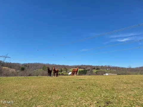 929 Painter Road Jonesborough Tn 37659, Jonesborough, TN 37659 photo 1