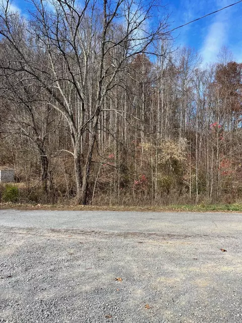 266 Lautner Road Bulls Gap Tn 37711, Bulls Gap, TN 37711