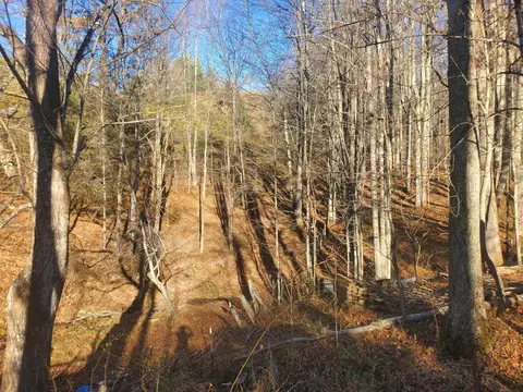 00 Miller Hollow Road Roan Mountain Tn 37687, Roan Mountain, TN 37687