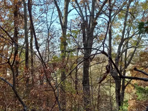 353 Bill West Road Limestone Tn 37681, Limestone, TN 37681