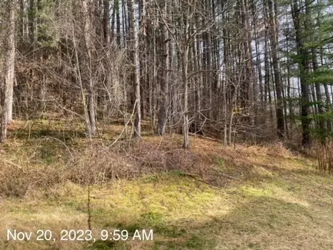 1985 Bandy Road Road Cedar Bluff Va 24609, Cedar Bluff, VA 24609 photo 21