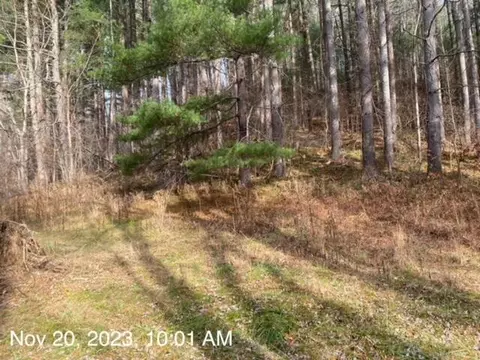 1985 Bandy Road Road Cedar Bluff Va 24609, Cedar Bluff, VA 24609 photo 23
