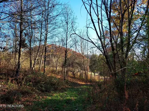 tbd Ferguson Cemetery Road Sneedville Tn 37869, Sneedville, TN 37869