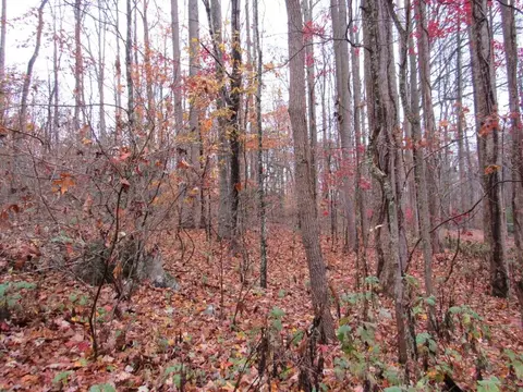 lot9 Kesner Lane Abingdon Va 24210, Abingdon, VA 24210